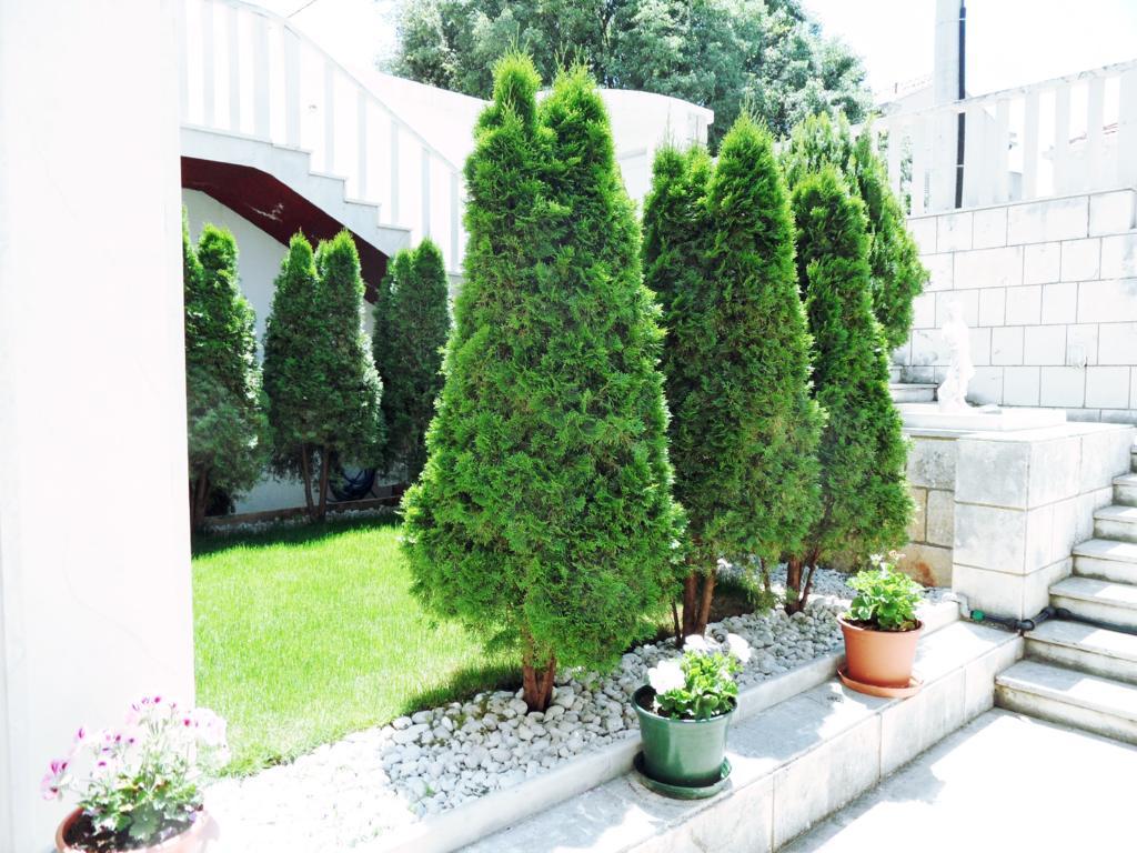 Adria Apartments And Rooms Ντουμπρόβνικ Εξωτερικό φωτογραφία